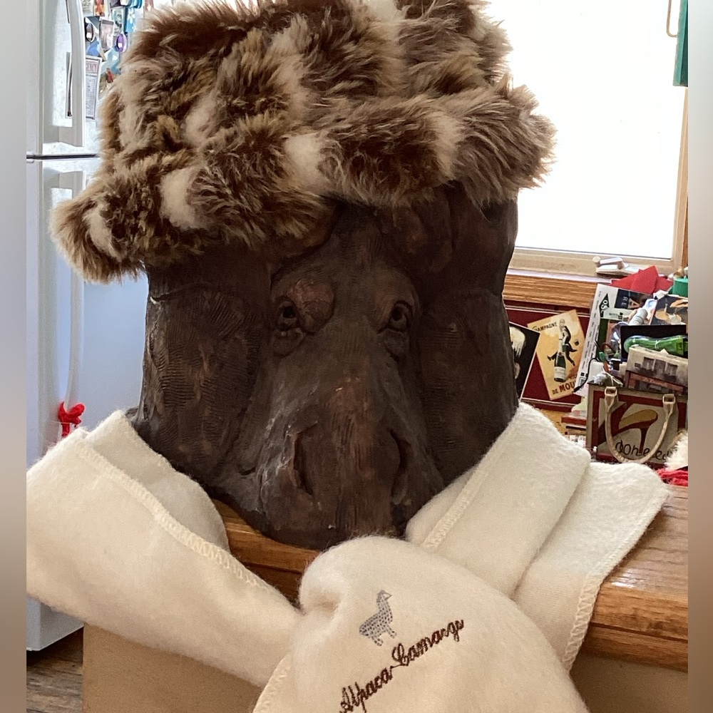 🐨 Parkhurst Women's Bucket Cloche Hat Calico Canada FAUX FUR OS